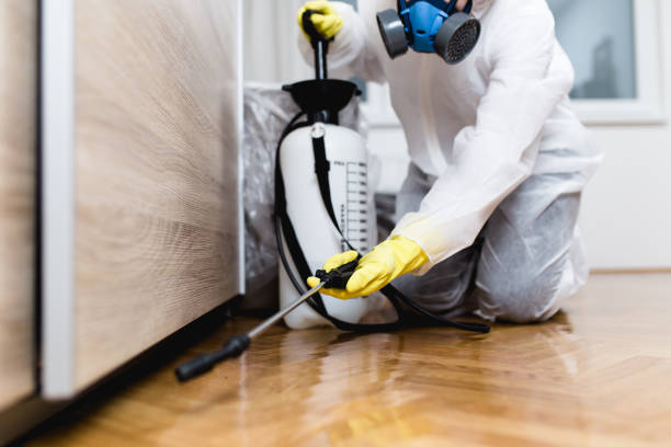 Best Wasp Removal Services  in Saugerties South, NY
