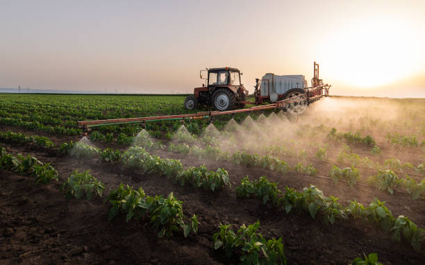 Best Commercial Pest Control Services  in Saugerties South, NY