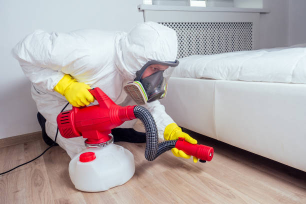 Best Pest Prevention Services  in Saugerties South, NY