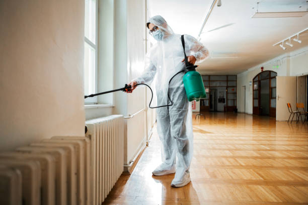 Best Rat Extermination Near Me  in Saugerties South, NY