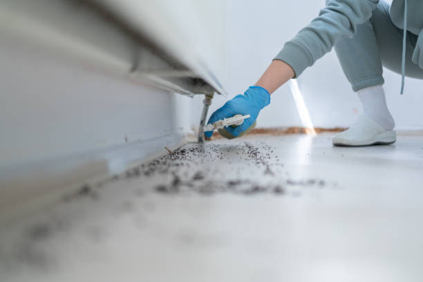 Reliable Saugerties South, NY Pest Control Solutions