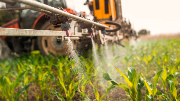 Best Best Pest Control Companies  in Saugerties South, NY